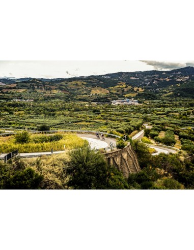 Maillot vélo femme Rogelli Leaf Menthe/Corail