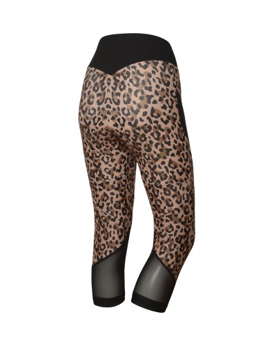 Cuissard vélo femme long Elite RH+ Marron /...