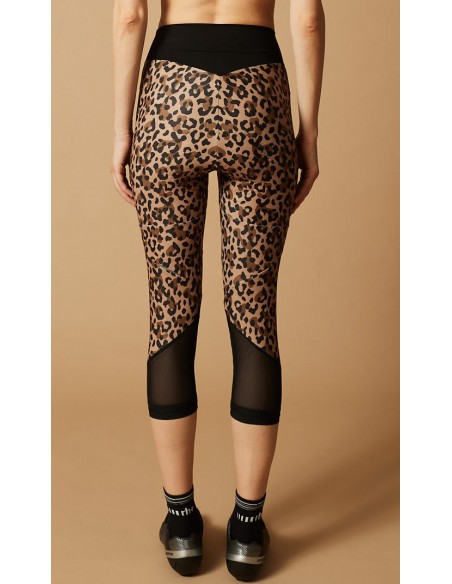 Cuissard vélo femme long Elite RH+ Marron / Noir Safari