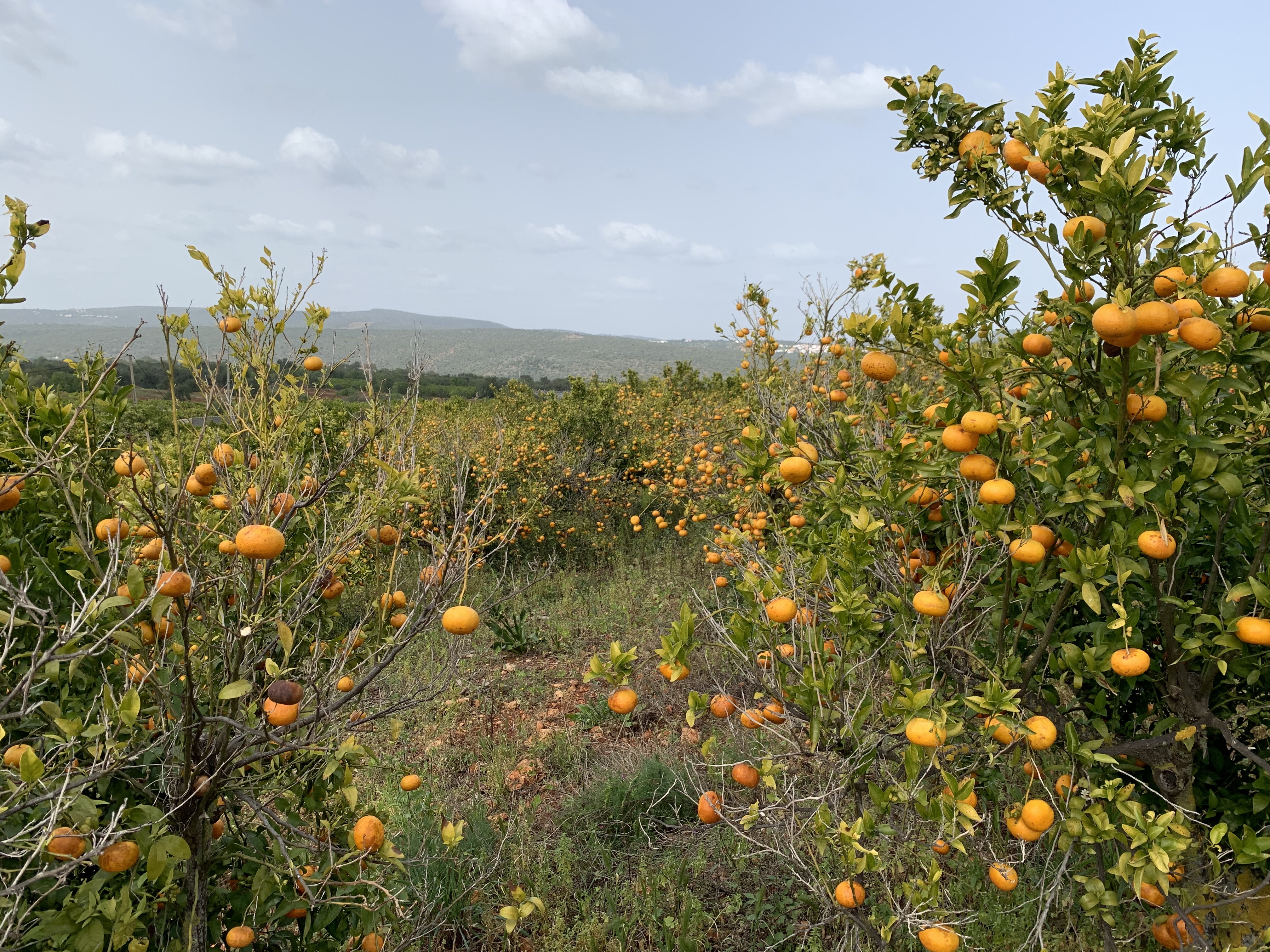 séjour-vélo-femme-algarve-portugal
